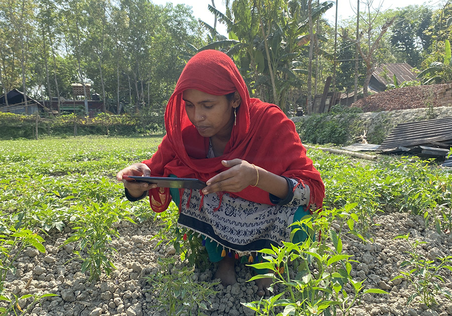 Plantix_BNA_Patuakhali_Sador_Add On Farmer_Ayesha Begum_16Mr22.jpeg